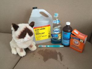 Limpiadores eficaces para la orina de los gatos