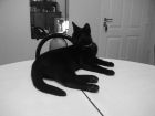 que pose!
