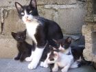 Perry con sus bebes actuales