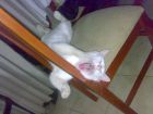 huyyyy  que hambre !