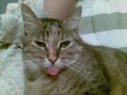 TE SACO LA LENGUA :P
