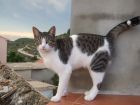 Ahi esta mi Carla