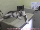 arriba del monitor ya tiene ma�a!!!!!!!!es su costumbre
