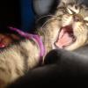Io sE Ke tIeNeS Sue�iToO