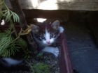 Jugando en el Jard�n 