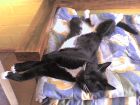hola qui descansando