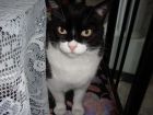 DSC00044_b.jpg