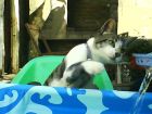aqui jugando con el agua!!!