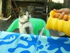 mi hermna lucia tiraba el agua de la jara y ella jugaba!!!!