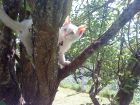 jugando en el jardin por primera vez tiene dos meses nacio el 8 de marzo de 2010