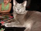 q miraaz?? xD