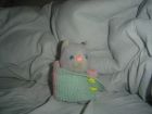 Mi gato de peluche