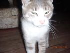 dicen que soy parecido a m� madre