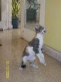 Jugando
