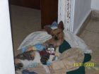 Con su compa�ero inseparable, Paco