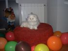 su primer cumple 6 de octubre 2007