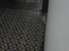 Pancho: Desde el lavabo