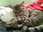 durmiendo 1