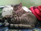durmiendo 2