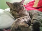 durmiendo 3