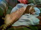 hola soy osiris aca tengo 2 meses.