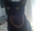 Le encanta mirar a camara