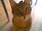 que lindo q soy