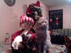 aqui esta thomas alberto posando para la foto de navidad