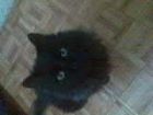 NEGI, MIRANDO COMO LE HAC�A UNA FOTO