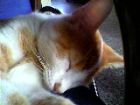 so�ando, ZZZZZZZZZZZZZZZ