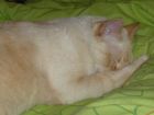 Un sue�o tranquilo