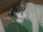 duerme tranquila y segura pero �hasta cuando?