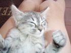 Ni quien la despierte (Blanca)