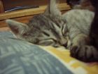 Blanca, mi ni�a educada, durmiendo como un angel.