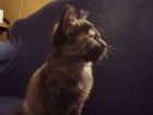 Mirando al horizonte