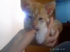 Se duerme en una mano.