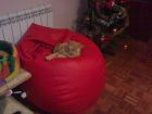 PINKY SE HA QUEDADO CON EL PUFF