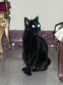 Ella es mi Sabrina, la madre de las dem�s. Y la m�s cascarrabias. Tiene 9 a�os.