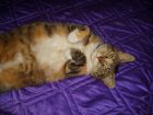 Xica, como un beb� y en la cama.