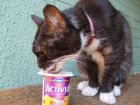Este yogur est� muy bueno...mmmm...!