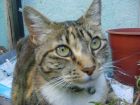�Qu� pasa linda Xica?....
