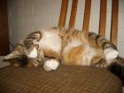 Oh, por favor apaguen esa luz, no puedo dormir as�...!