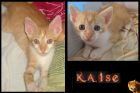 Cambio de Kaise