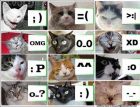 para el que quiera poner emoticones
jaja esta muy bonito
