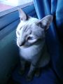 Sim�n es el hermanito de Morena... Es  mi principito!