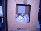 Tutti en su casa de carton