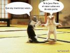 jajajaja!!..lean el comic
