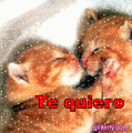 Te quiero
