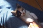 que ojos mas brillantes!!!!