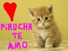 mi pirucha es mi gata mas chica tiene 2 meses es muy linda y cari�osa